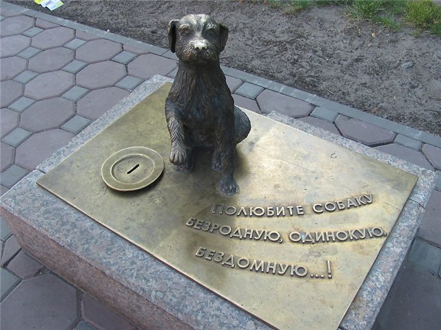 памятник бездомной собаке в тюмени фото
