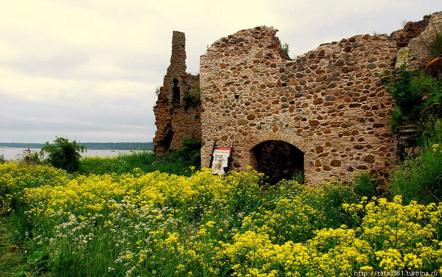 Замок Тоолсе фото