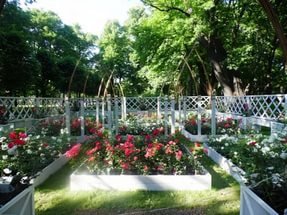 императорские сады россии фото