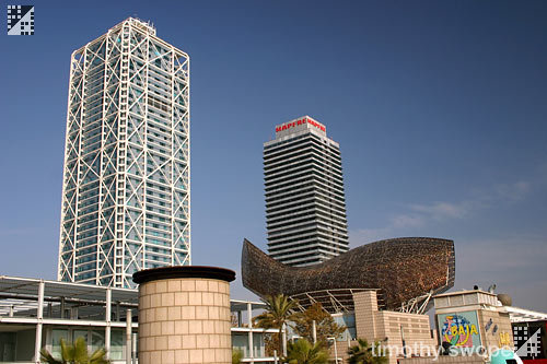 torre mapfre барселона фото