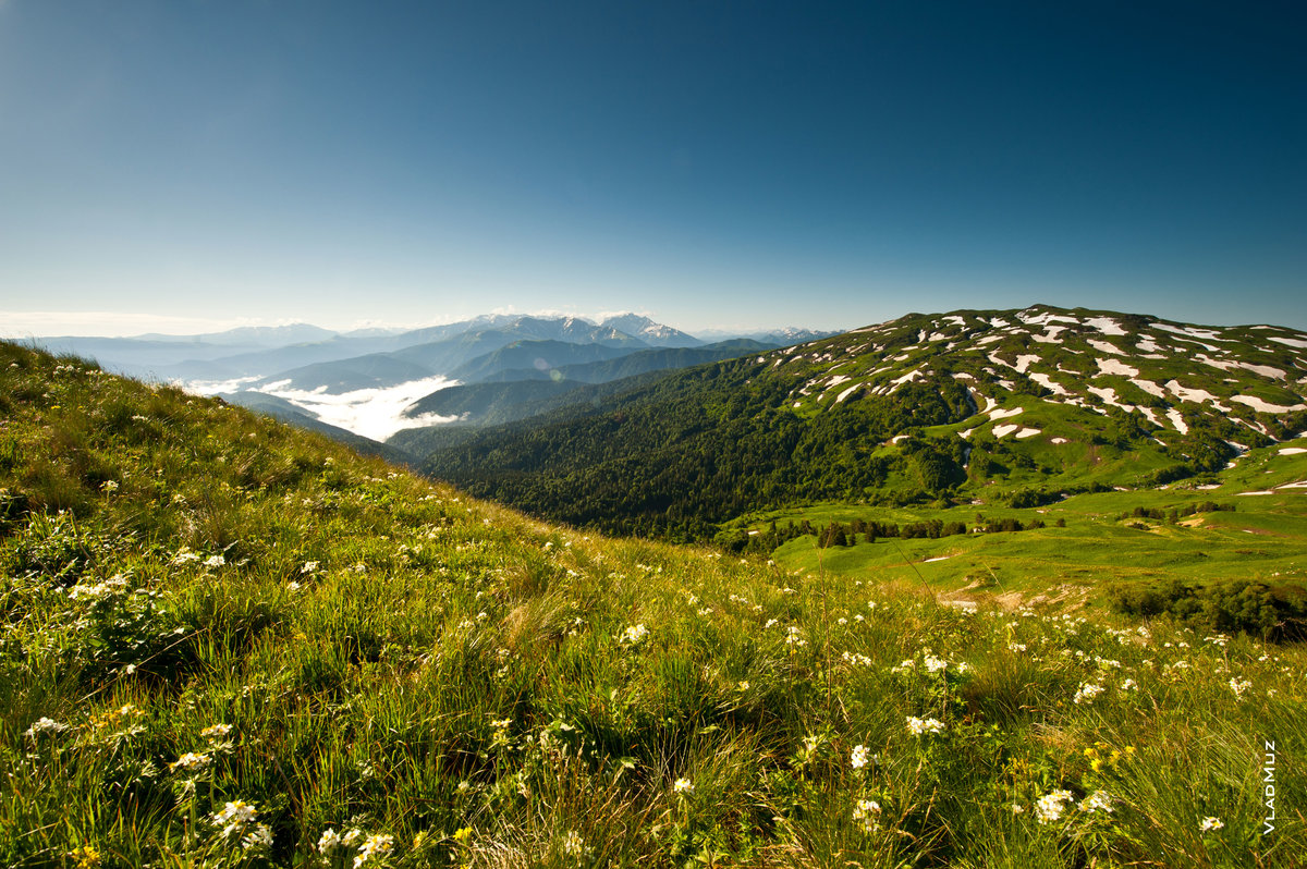 лаго наки альпийские луга фото