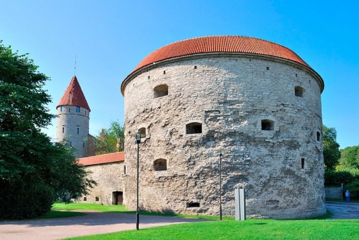 толстая маргарита в таллине фото