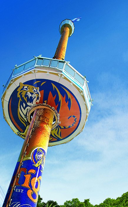 башня tiger sky tower фото