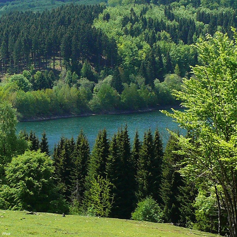 озеро природа фото
