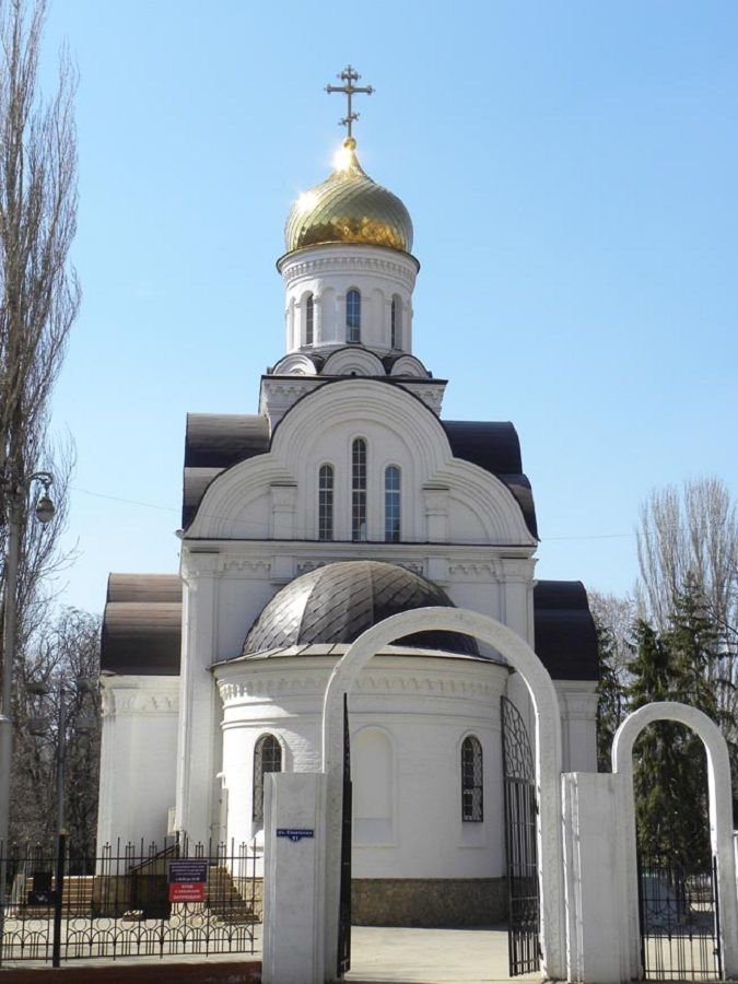 княже-владимирский собор саратов фото