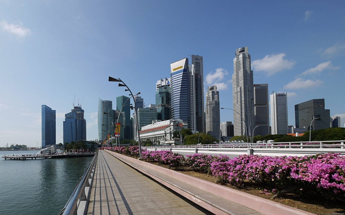город сингапур singapore city фото