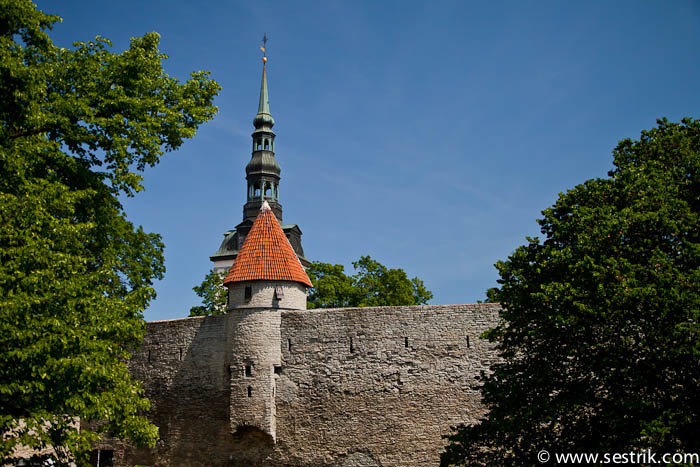 таллин церковь нигулисте фото