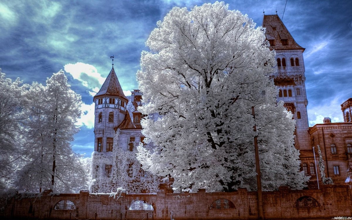 румыния зимой фото