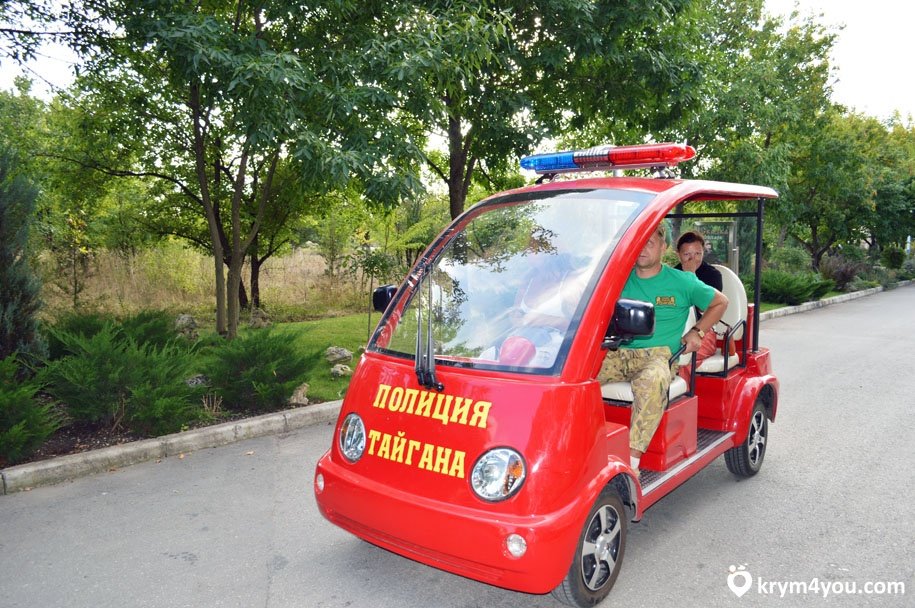 сафари парк тайган фото
