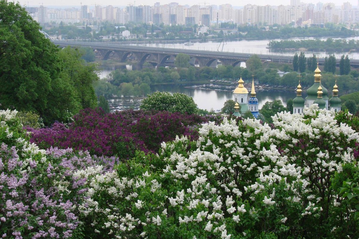 национальный ботанический сад имени н. н. гришко нан украины фото