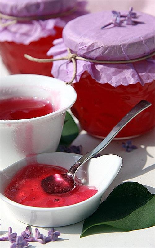 Фиолетовое варенье виолетта валерьевна картинки