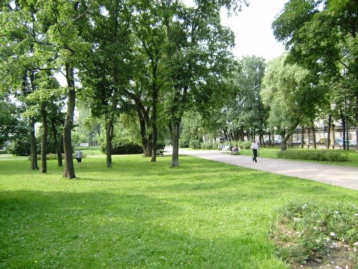 сад олимпия санкт-петербург фото