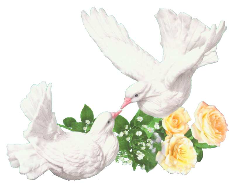 ������� �� ��������, �������� ���������