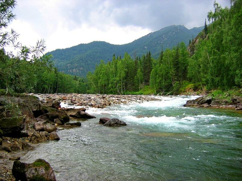 алтай река фото