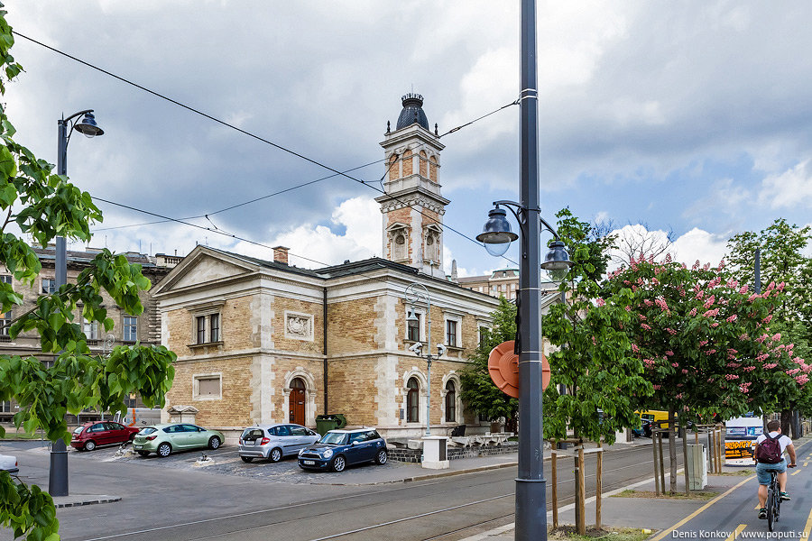 город коломыя ивано-франковской области фото