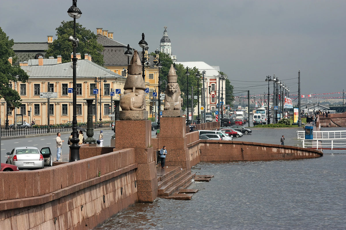сфинксы на университетской набережной в санкт петербурге фото