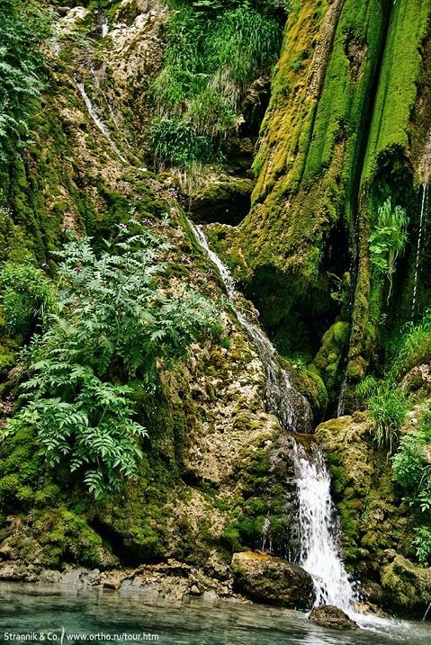 пейзаж джунгли водопад фото