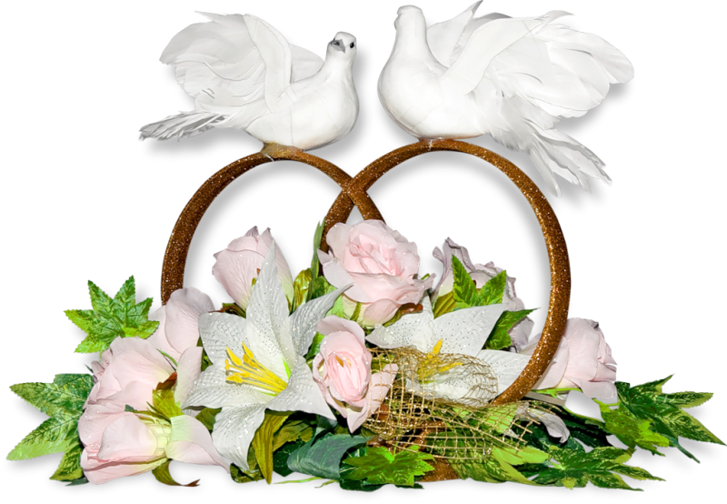 ��������, �������� � ������� �� ���������� ����