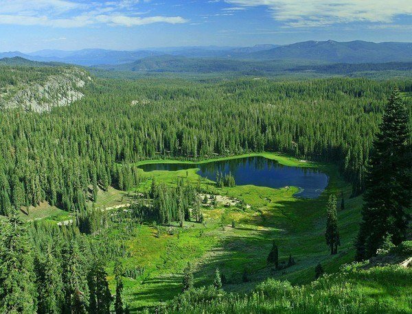 сибирская тайга фото
