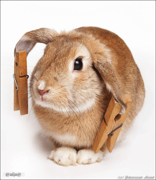 ����� ������, �������� � ��������� �������� ��������