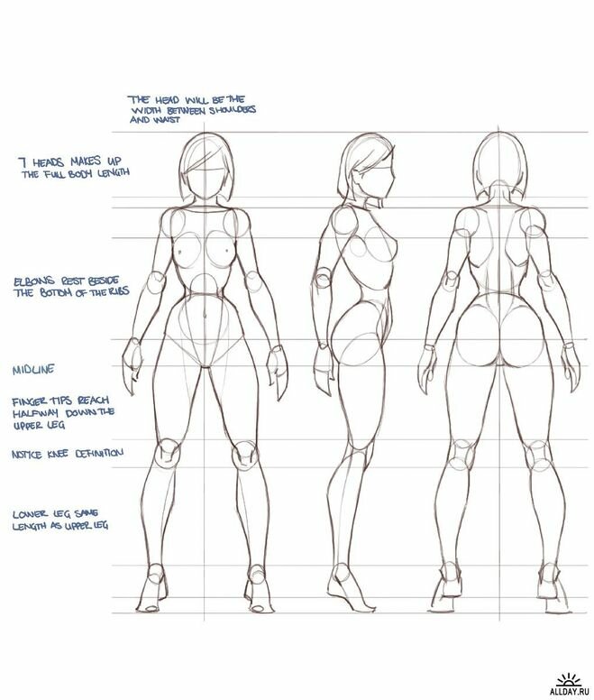 Как рисовать тело в профиль