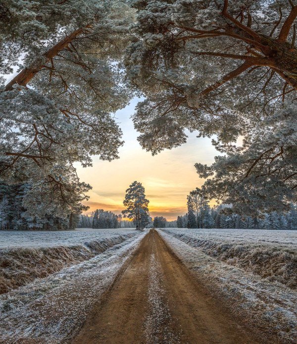 проселочная дорога зима фото