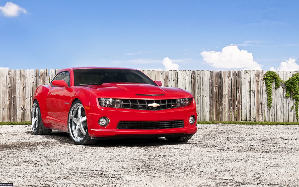 Chevrolet Camaro фото