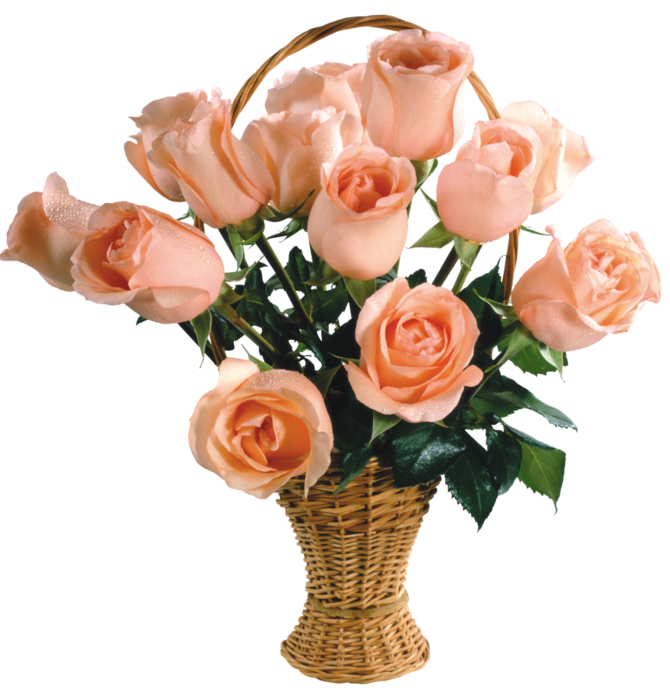 �������� � �������� ������������� ����, 60-������ �������