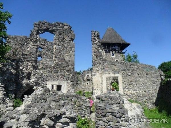 невицкое закарпатье замок фото