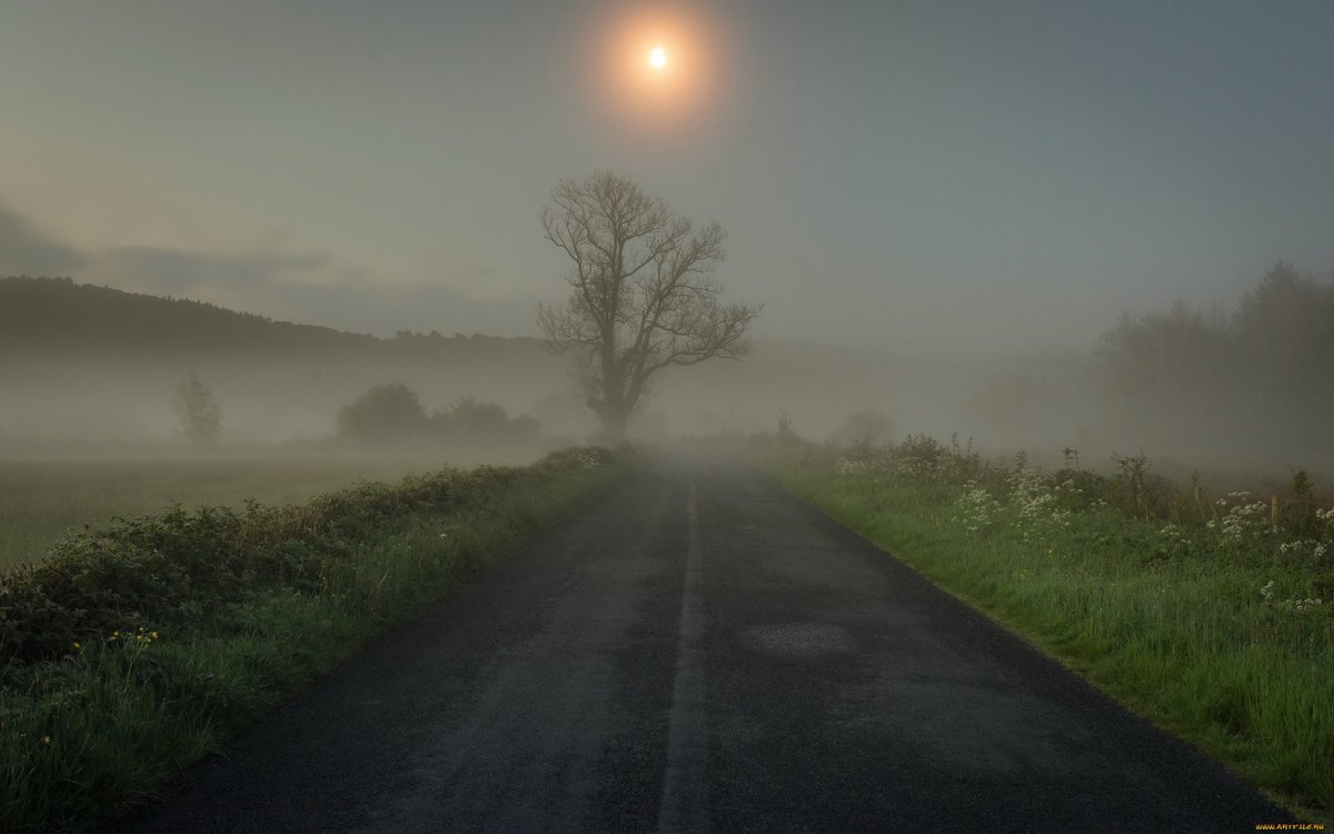 туман дорога фото