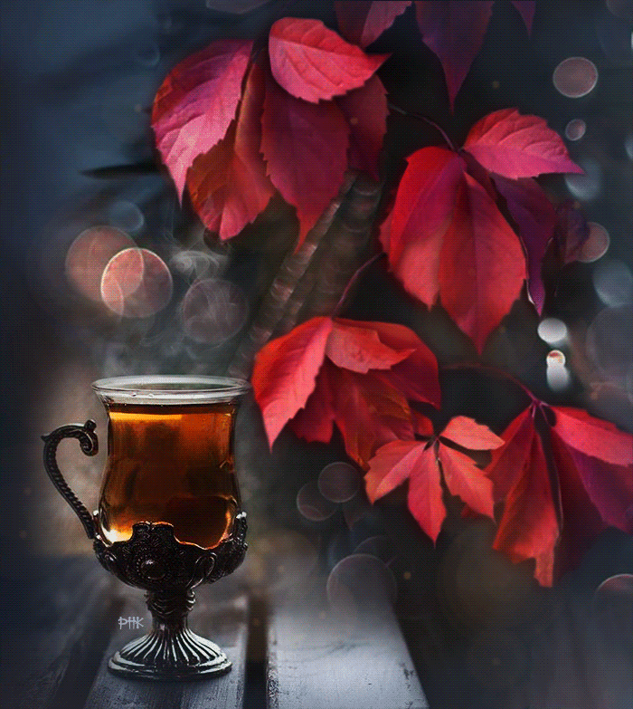 gif animated, gif ,  ,  ,    , ,  , .