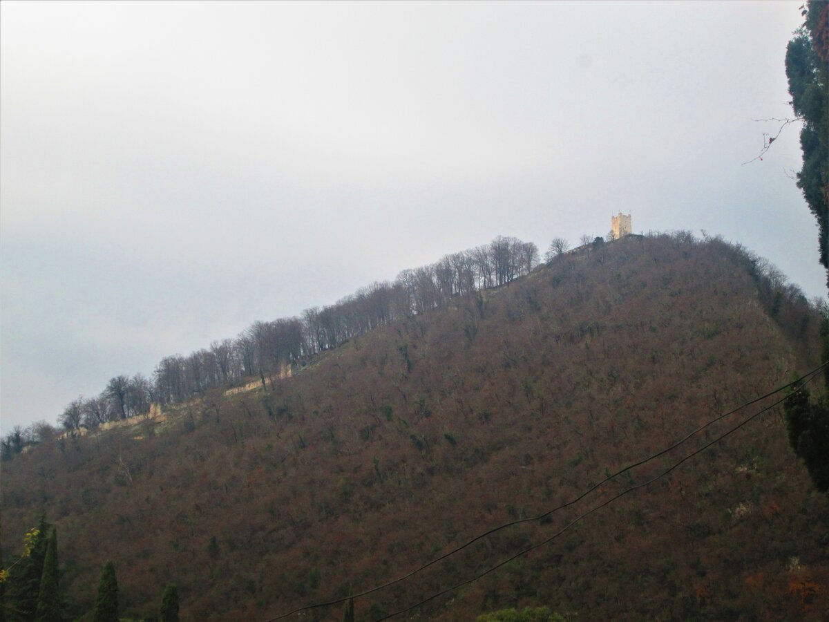 на горе фото