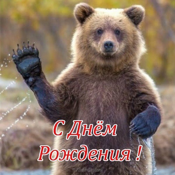 19 Cards In Collection Otkrytki S Dnem Rozhdeniya Ot Putina Of