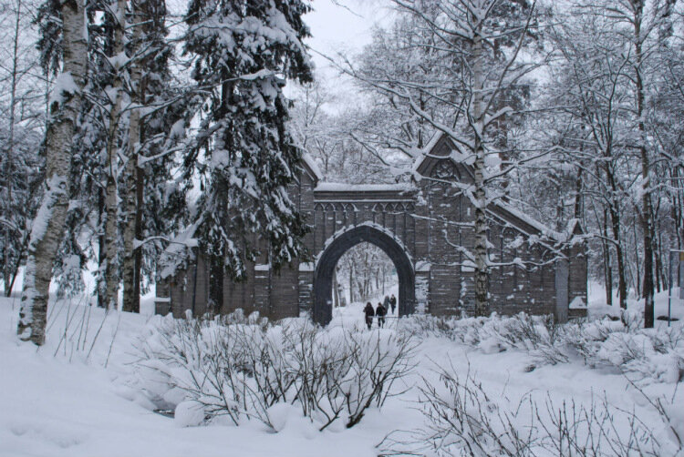 зимний парк монрепо выборг фото