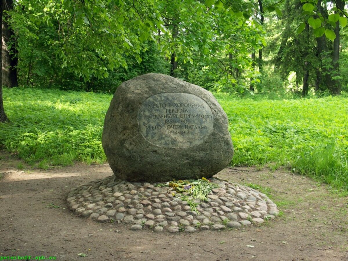 валун черепаха ораниенбаум фото