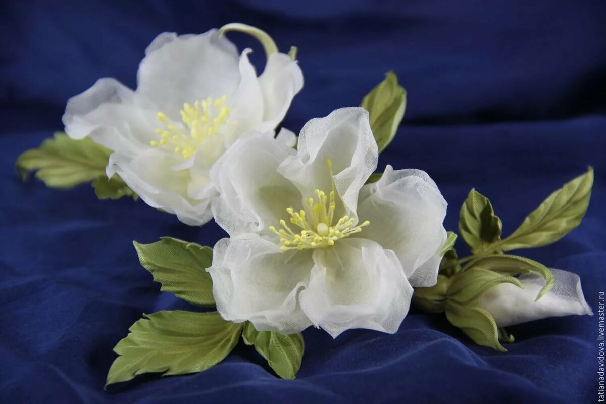 �������� �� ����� ���� �� ������� �����