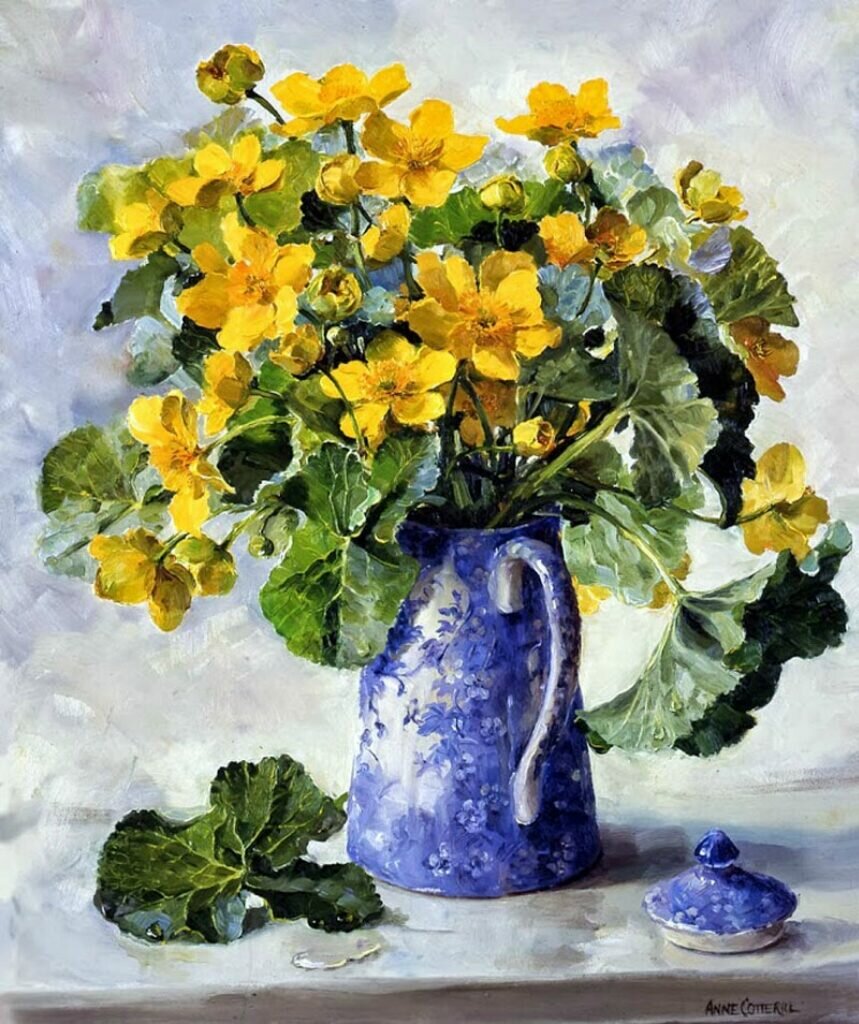 anne cotterill(энн коттерилл) фото
