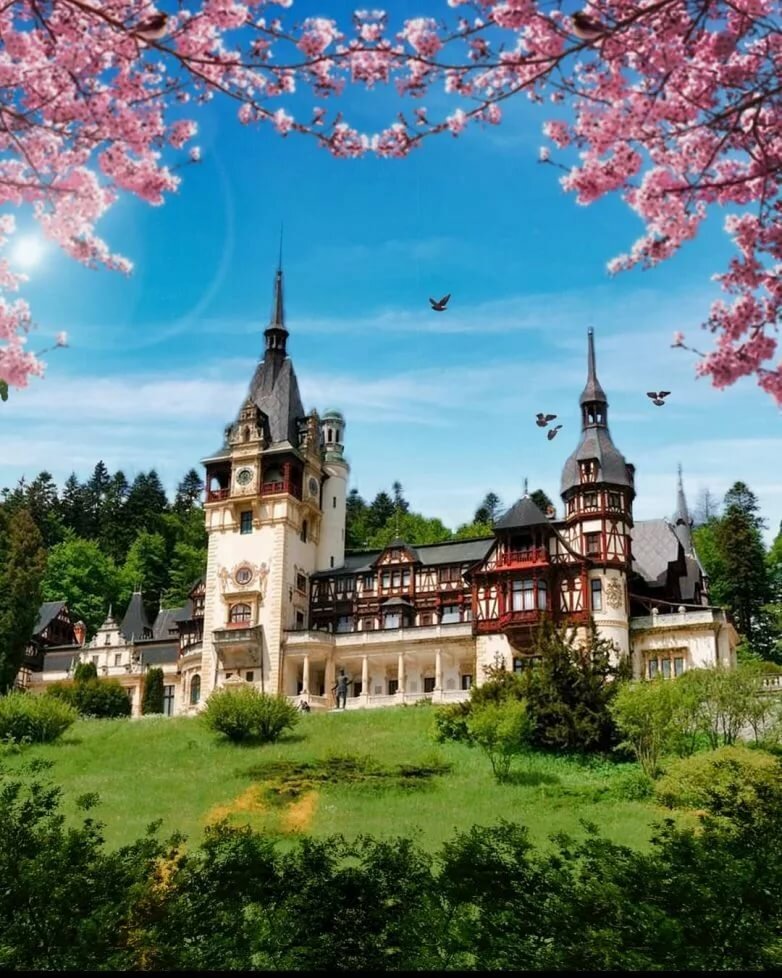 замок пелеш румыния фото