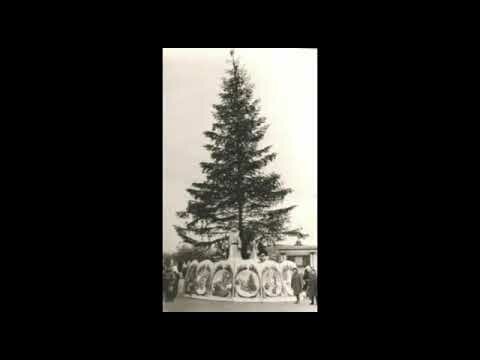 елка 1960 фото