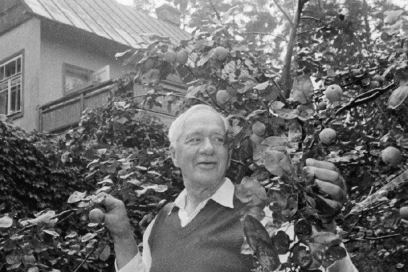 чуковский корней иванович фото