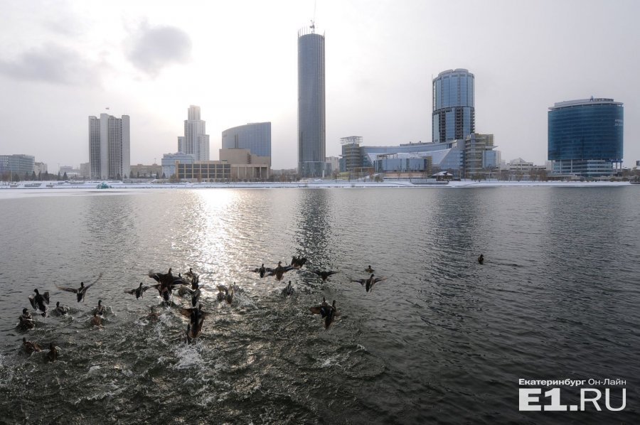 екатеринбург сити екатеринбург фото