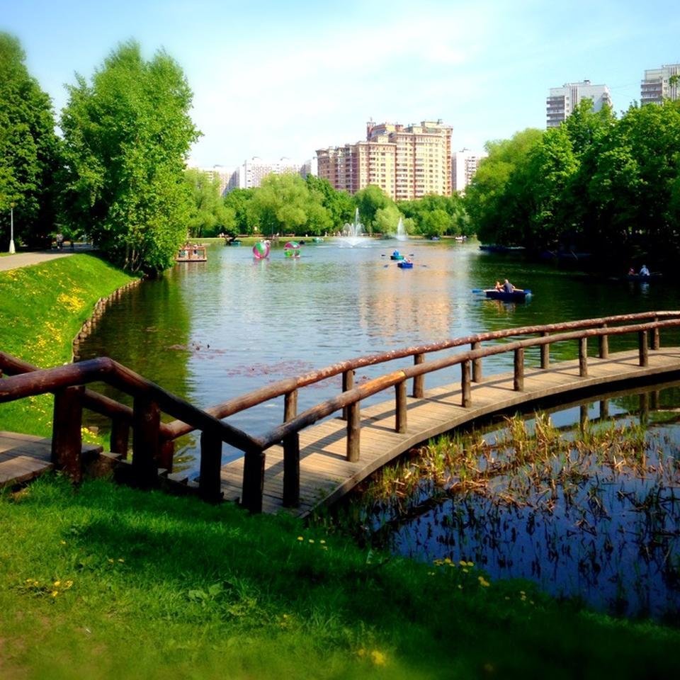 воронцовские пруды москва фото