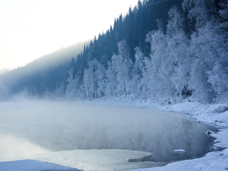 телецкое озеро алтай фото