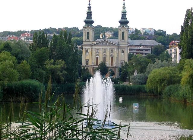 фенекетлен фото