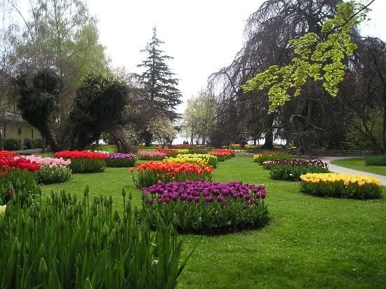 Ð�Ð�Ð½Ð�Ð²ÑÐºÐ¸Ð¹ Ð�Ð¾Ñ�Ð�Ð½Ð¸Ñ�Ð�ÑÐºÐ¸Ð¹ ÑÐ�Ð´ â�� Ð¼Ð¸Ñ�Ð¾Ð²Ð�Ñ Ð�Ð½Ð�Ð¼Ð�Ð½Ð¸Ñ�Ð¾ÑÑ�ÑŒ