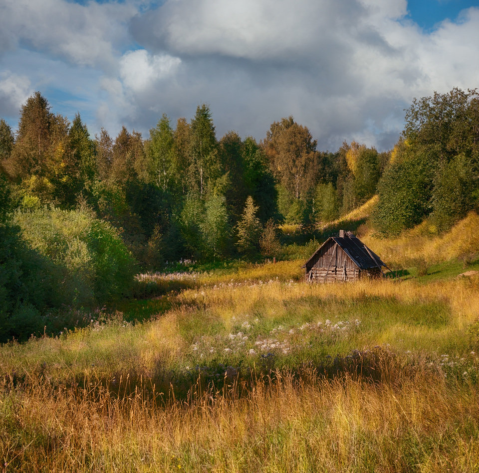 деревня мегра вологодская пейзаж фото