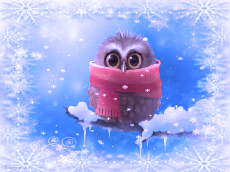 зима 
#гифка #анимация #сова  #снег #холод #шарф #глазки