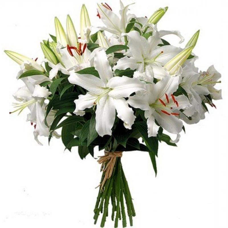 ������ ����� �������� ����