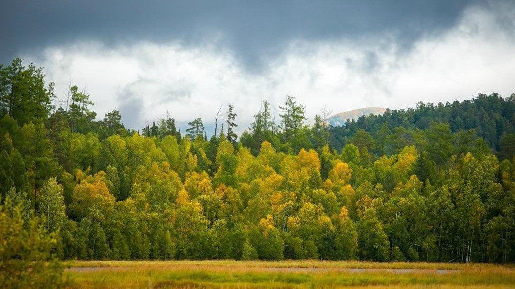 забайкальский национальный парк (россия) фото