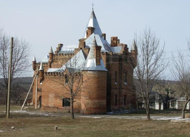 замок попова в васильевке фото